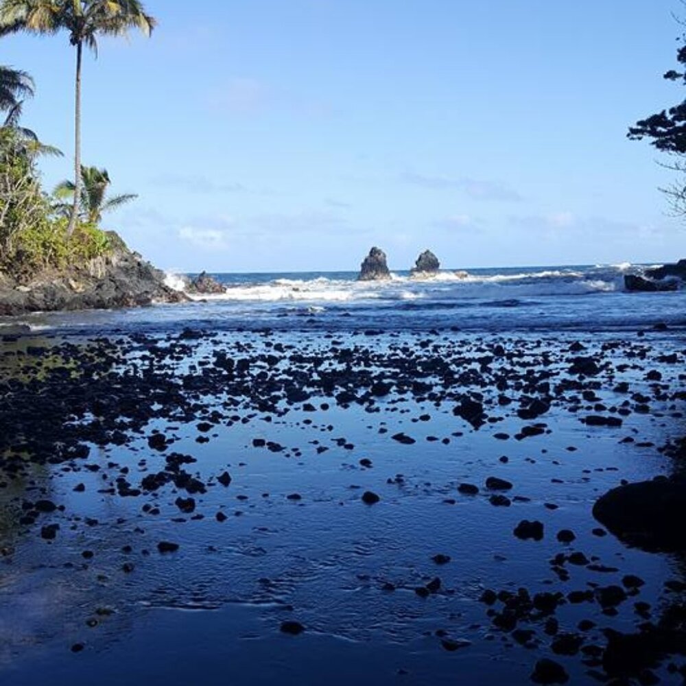 Meet your Posher, Nita